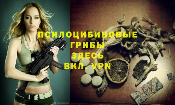 таблы Вязьма