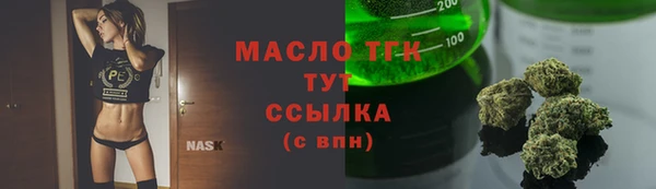 хмурый Вяземский