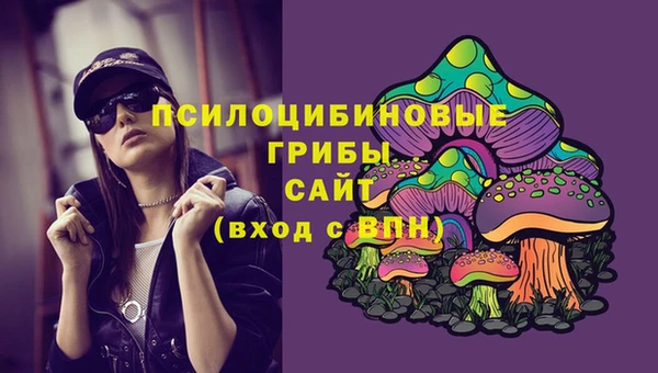 хмурый Вяземский