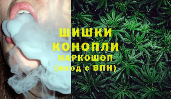 хмурый Вяземский
