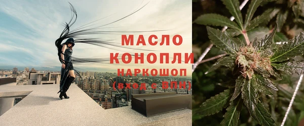 хмурый Вяземский