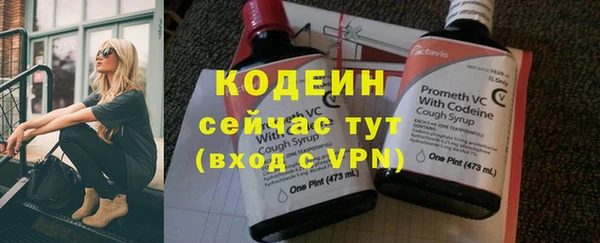 хмурый Вяземский