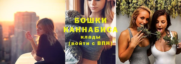 хмурый Вяземский