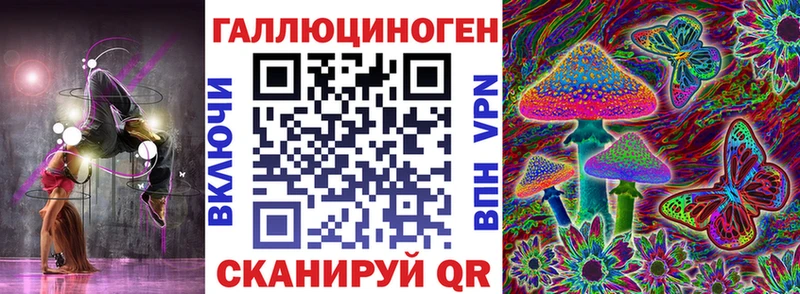 Галлюциногенные грибы Psilocybine cubensis  дарнет шоп  Махачкала 